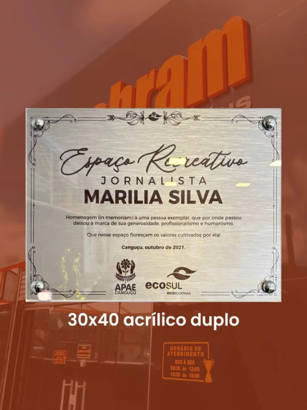 PLACA DE PAREDE 30x40 - 2 ACRÍLICOS 