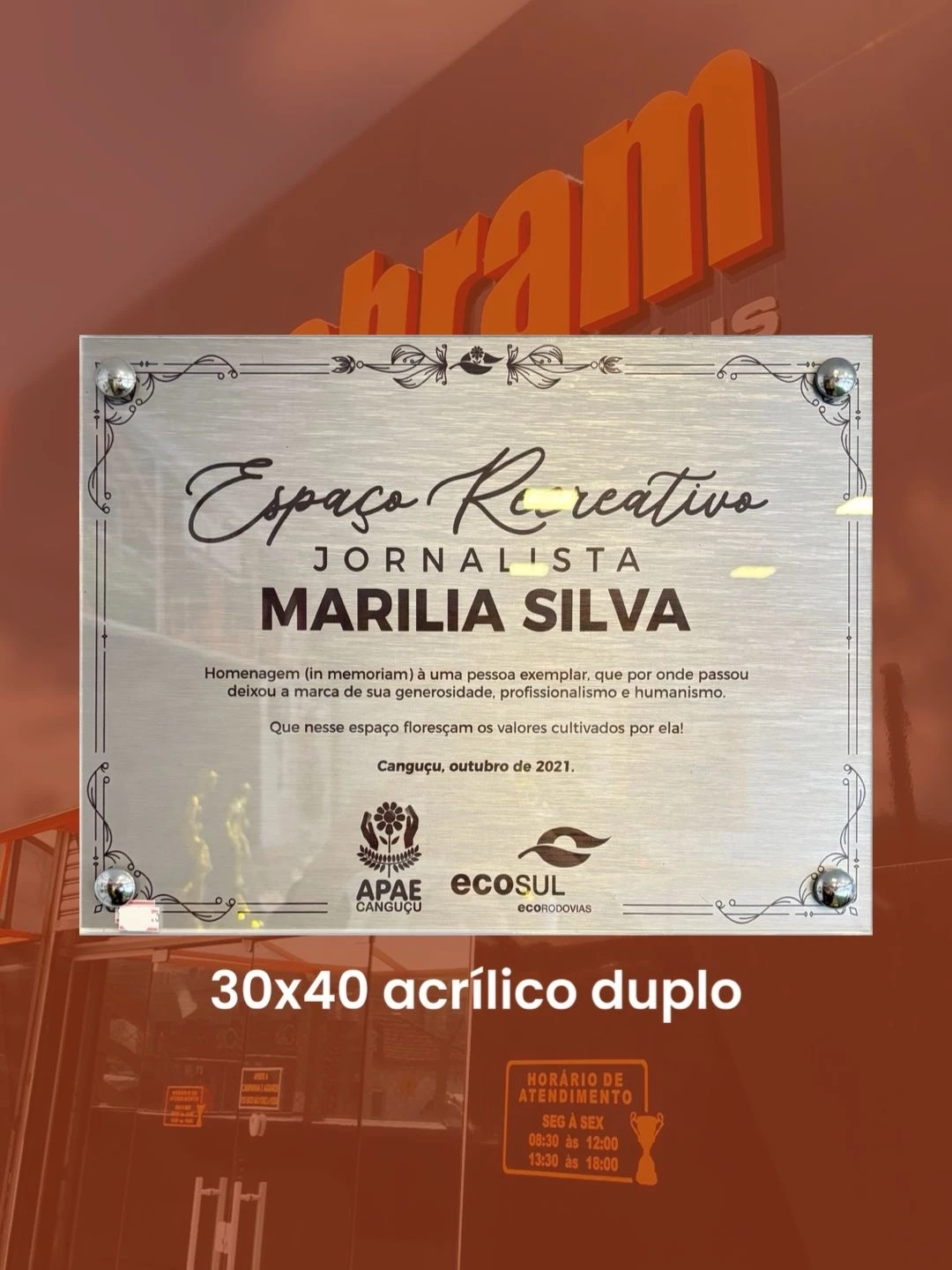 PLACA DE PAREDE 30x40 - 2 ACRÍLICOS 
